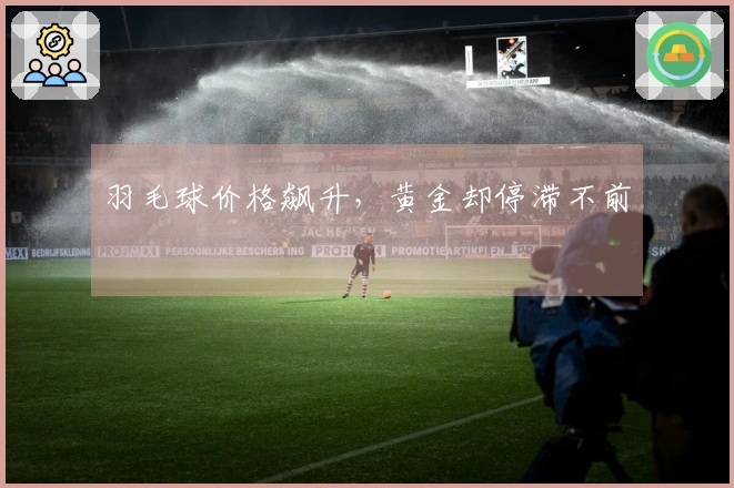羽毛球价格飙升,黄金却停滞不前
