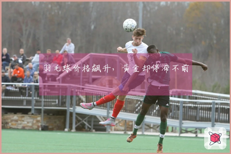 羽毛球价格飙升，黄金却停滞不前